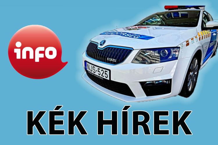 Több mint 170 kilogramm drogot foglalt le a rendőrség egy nemzetközi akció során