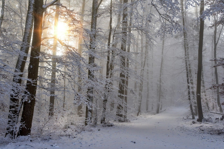 Többfelé megmaradt a hó és néhol újabb havazás várható