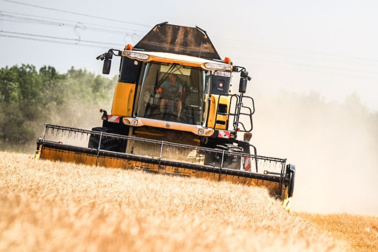 AM: befejeződött a nyári aratás, kedvezőek a hozamok